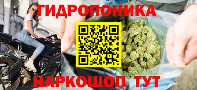 2c-b Будённовск