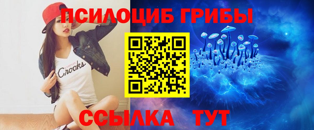 Галлюциногенные грибы прущие грибы  Вход с VPN  Санкт-Петербург 