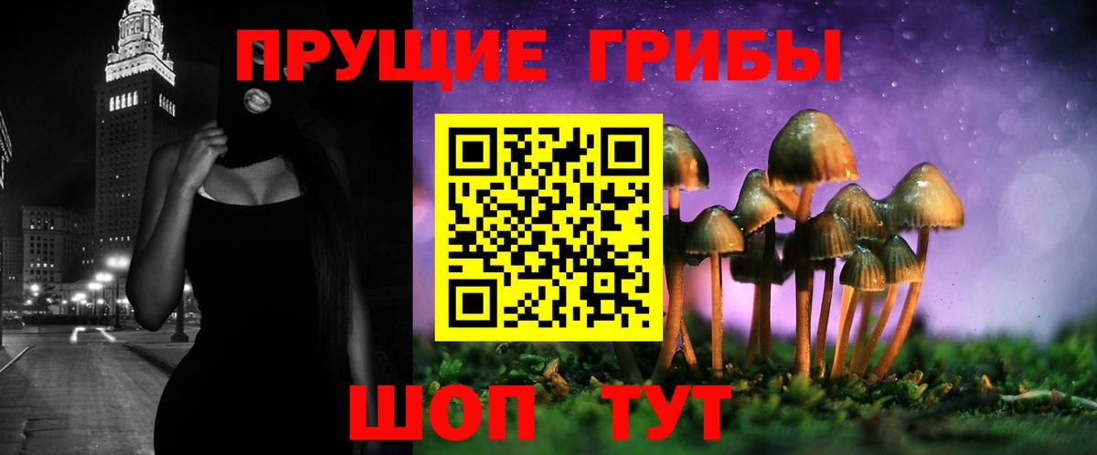 Псилоцибиновые грибы прущие грибы Санкт-Петербург
